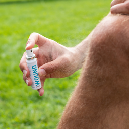 WOUND Wundspray